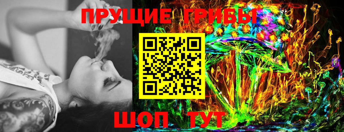 Галлюциногенные грибы Psilocybine cubensis Хасавюрт