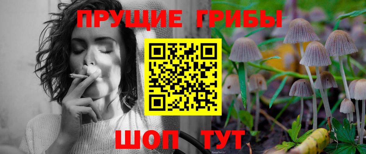 Галлюциногенные грибы GOLDEN TEACHER  Галлюциногенные грибы Psilocybe  Хасавюрт  Вход с VPN 